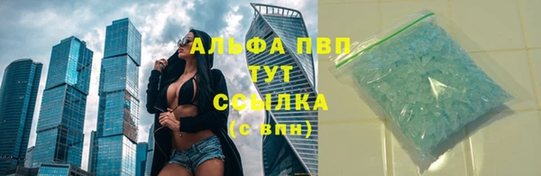 прущие грибы Баксан